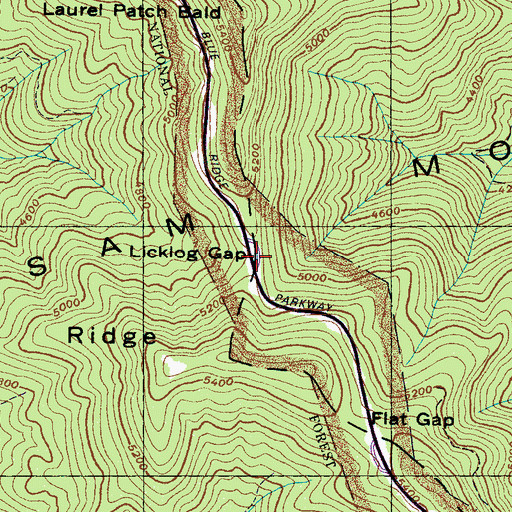 Topographic Map of Licklog Gap, NC
