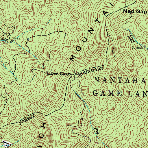 Topographic Map of Low Gap, NC