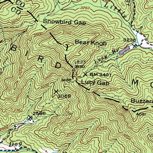 Topographic Map of Lucy Gap, NC