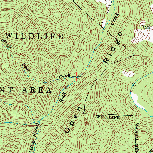 Topographic Map of Maple Bald Creek, NC