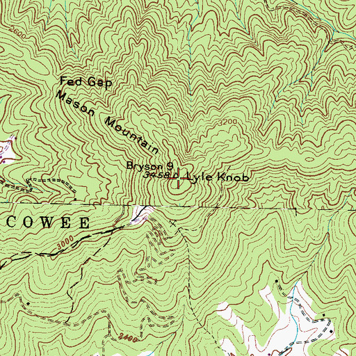 Topographic Map of Mason Mountain, NC