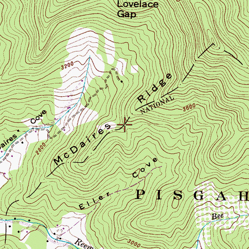 Topographic Map of McDaires Ridge, NC