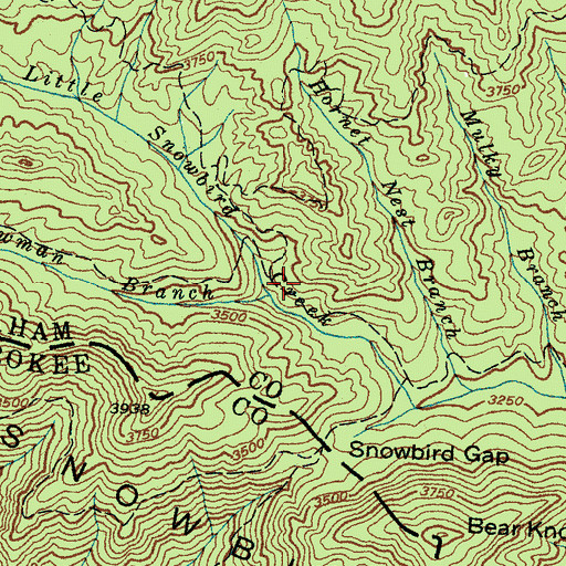 Topographic Map of Newman Branch, NC