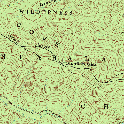 Topographic Map of Obadiah Gap, NC