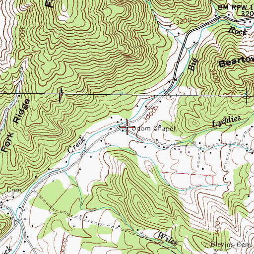 Topographic Map of Odom Chapel, NC