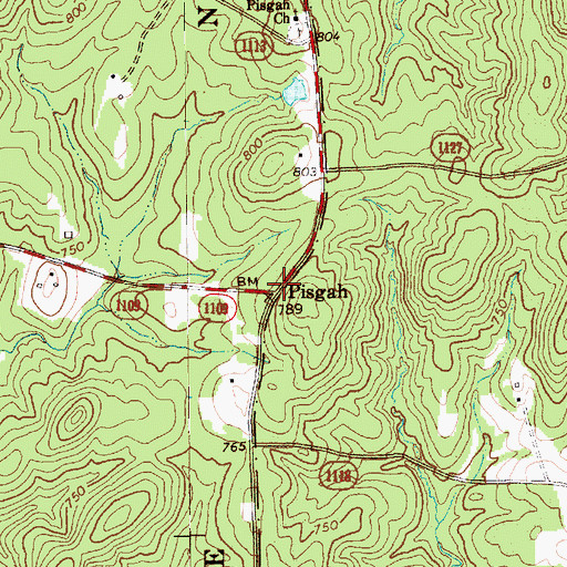 Topographic Map of Pisgah, NC
