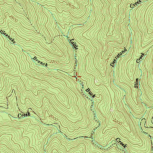 Topographic Map of Rattlesnake Branch, NC