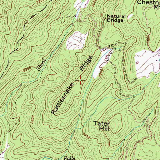 Topographic Map of Rattlesnake Ridge, NC