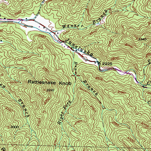 Topographic Map of Right Fork Bear Branch, NC