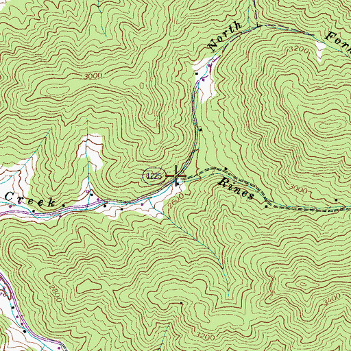 Topographic Map of Rines Creek, NC