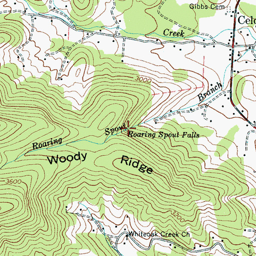 Topographic Map of Roaring Spout Falls, NC