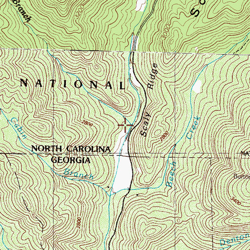 Topographic Map of Sassafras Branch, NC