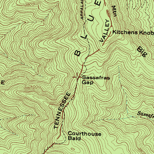 Topographic Map of Sassafras Gap, NC