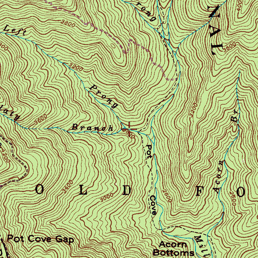 Topographic Map of Slaty Branch, NC