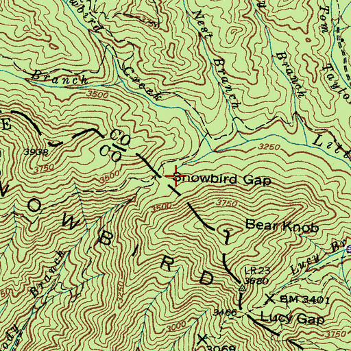 Topographic Map of Snowbird Gap, NC
