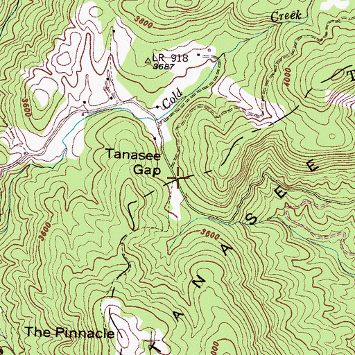 Topographic Map of Tanasee Gap, NC