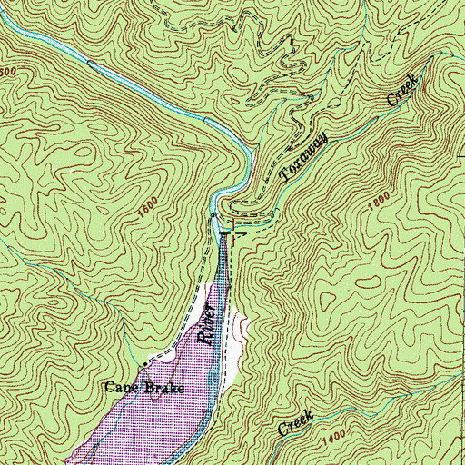 Topographic Map of Toxaway Creek, NC