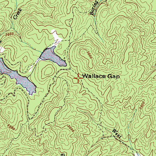 Topographic Map of Wallace Gap, NC
