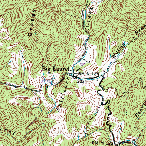 Topographic Map of Wallin Branch, NC