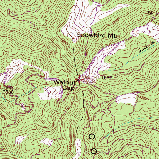 Topographic Map of Walnut Gap, NC