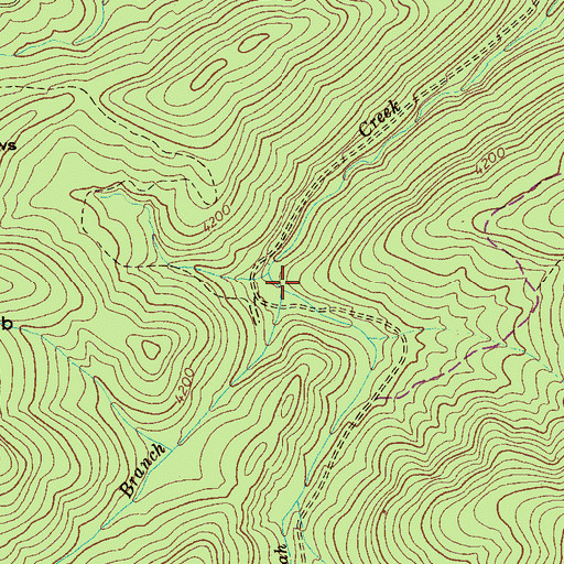 Topographic Map of Whigg Branch, NC