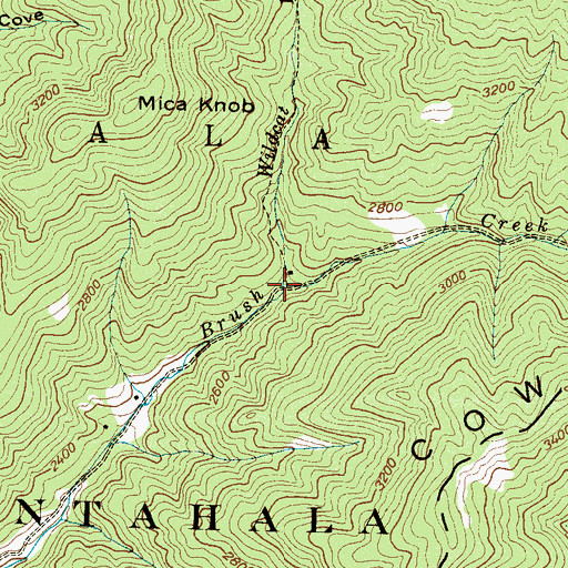 Topographic Map of Wildcat Branch, NC