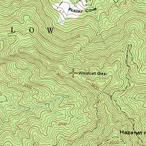 Topographic Map of Wildcat Gap, NC