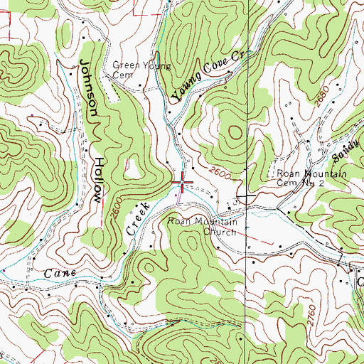 Topographic Map of Young Cove Creek, NC