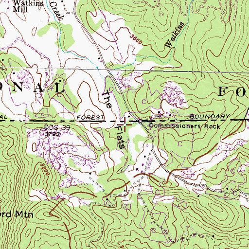 Topographic Map of The Flat, NC