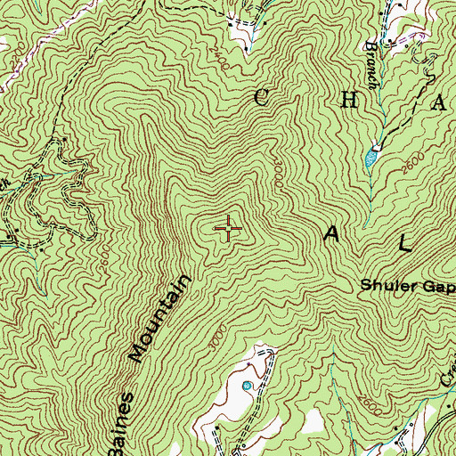Topographic Map of Baines Mountain, NC
