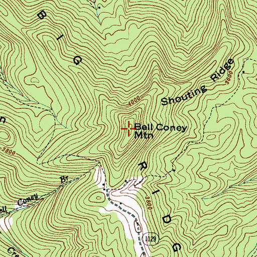 Topographic Map of Bell Coney Mountain, NC
