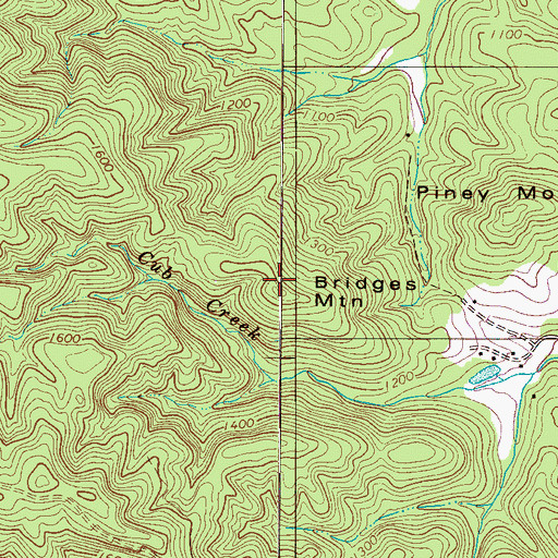 Topographic Map of Bridges Mountain, NC