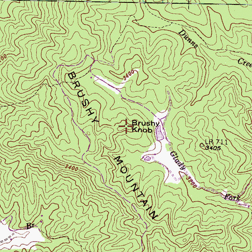 Topographic Map of Brushy Knob, NC