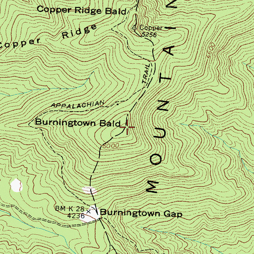 Topographic Map of Burningtown Bald, NC