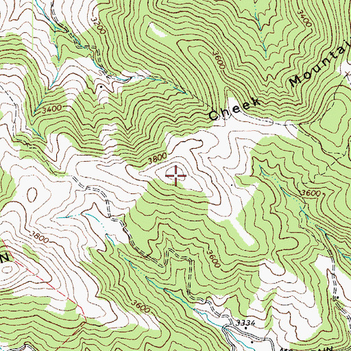 Topographic Map of Cheek Mountain, NC