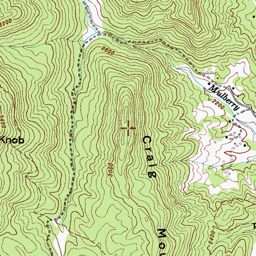 Topographic Map of Craig Mountain, NC