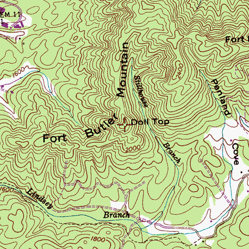 Topographic Map of Fort Butler Mountain, NC