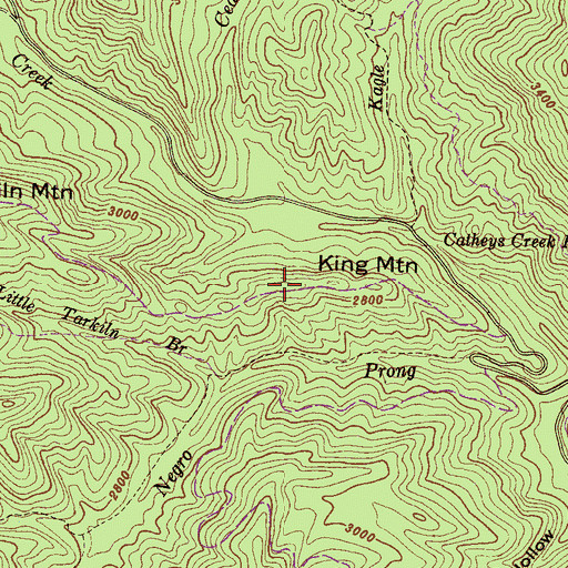 Topographic Map of King Mountain, NC