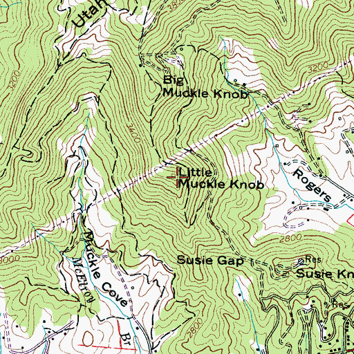 Topographic Map of Little Muckle Knob, NC