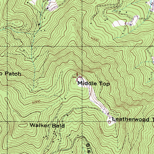 Topographic Map of Middle Top, NC