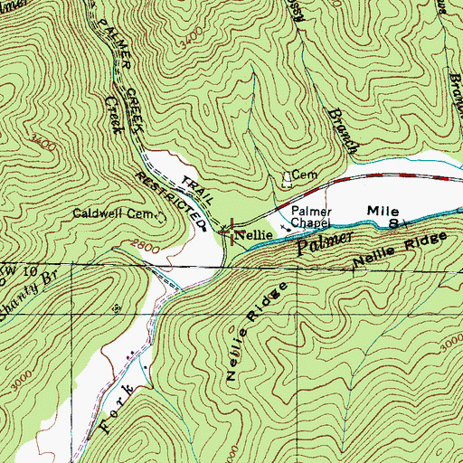 Topographic Map of Nellie, NC