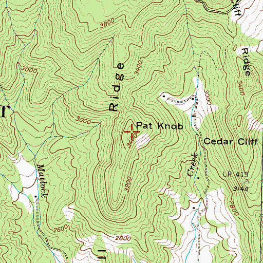 Topographic Map of Pat Knob, NC