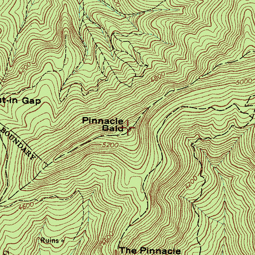Topographic Map of Pinnacle Bald, NC
