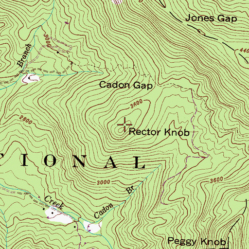 Topographic Map of Rector Knob, NC