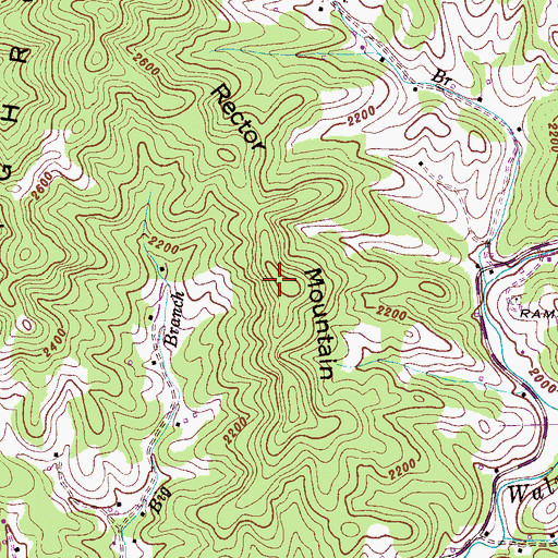 Topographic Map of Rector Mountain, NC