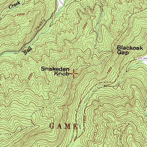 Topographic Map of Snakeden Knob, NC