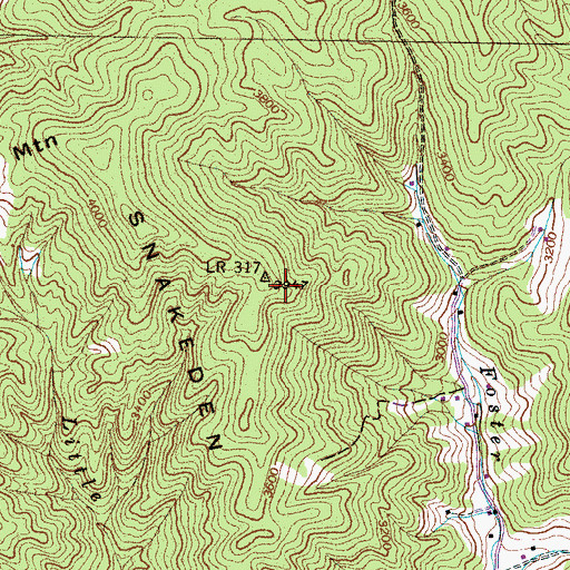 Topographic Map of Snakeden Mountain, NC