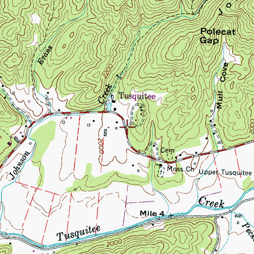 Topographic Map of Tusquitee, NC