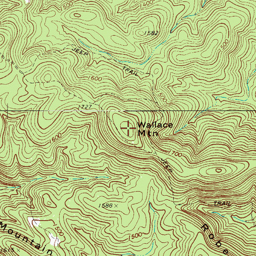 Topographic Map of Wallace Mountain, NC