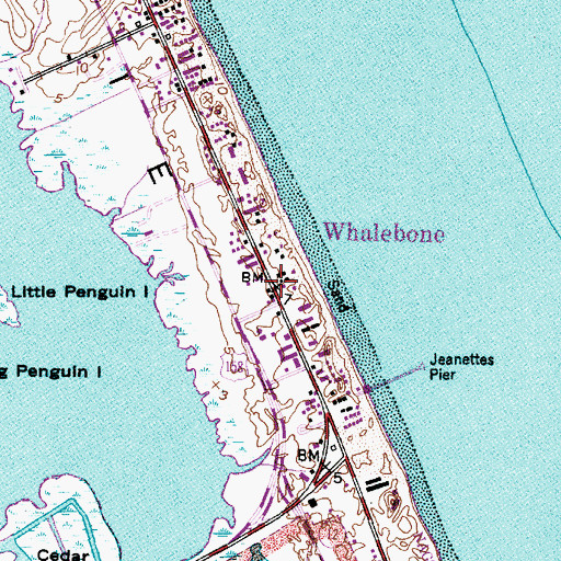 Topographic Map of Whalebone, NC